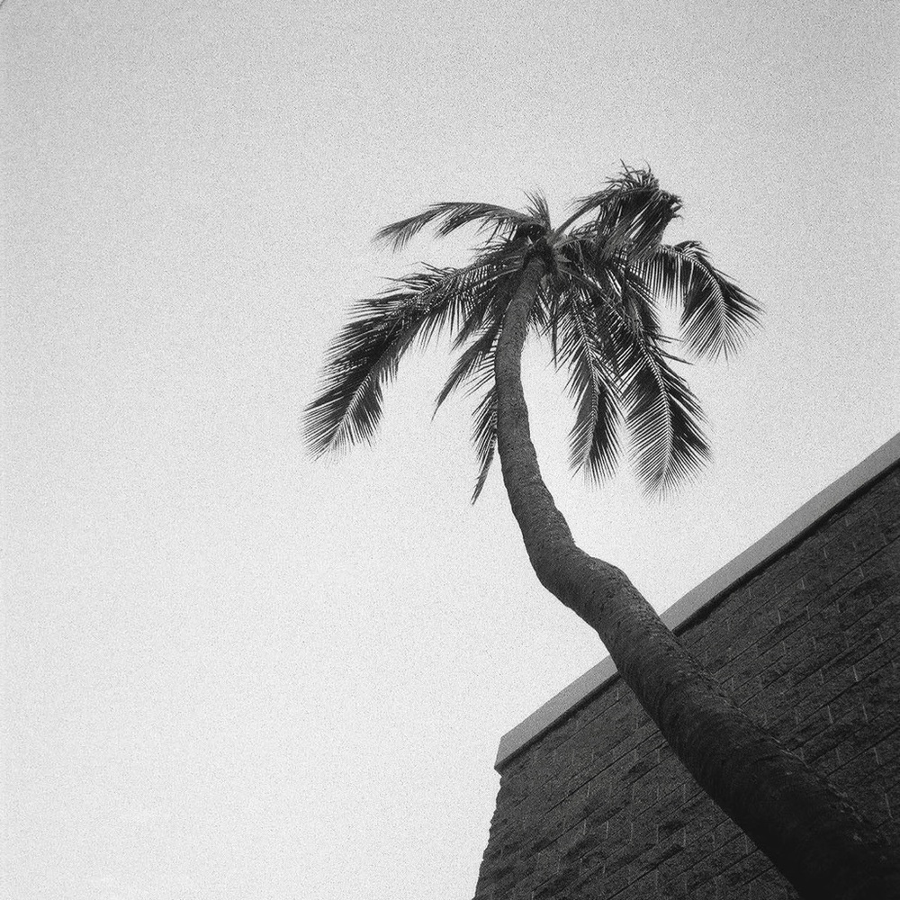 Aloha!